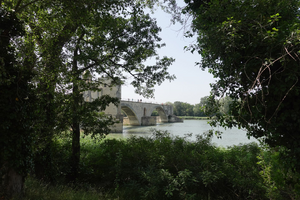 Courtier Avignon